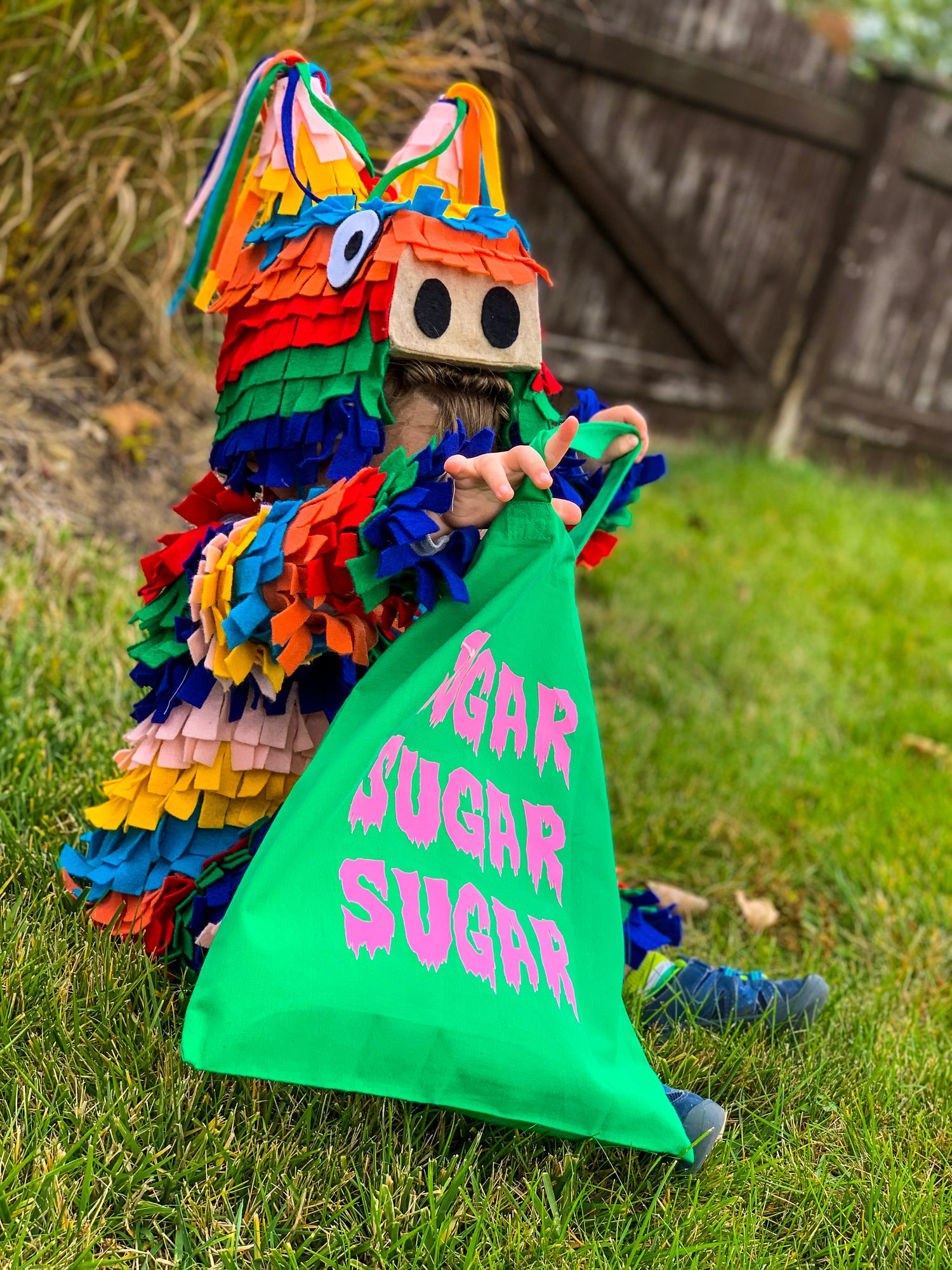 DIY Pinata costume for kids. 18 month old child in a colorful pinata costume looking into a green bag that says Sugar, Sugar, Sugar. He is sitting on grass and the halloween costume is in rainbow colors like a traditional piñata.